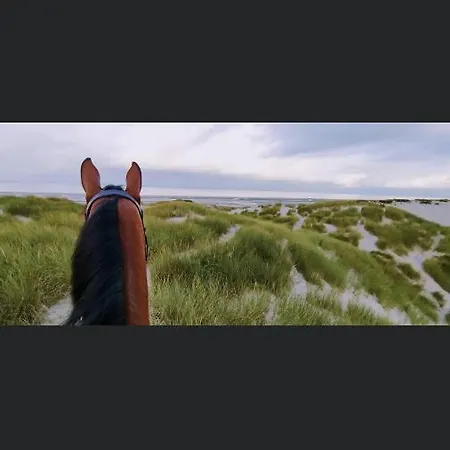 فندق مبيت وإفطار D'hote Touquet's Garden 3*